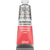 Oleo Winton 37ml nº 22